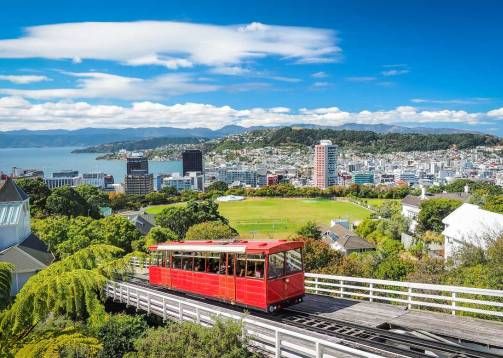 Wellington City View