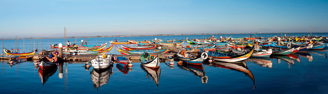 Portuguese fishing boats 